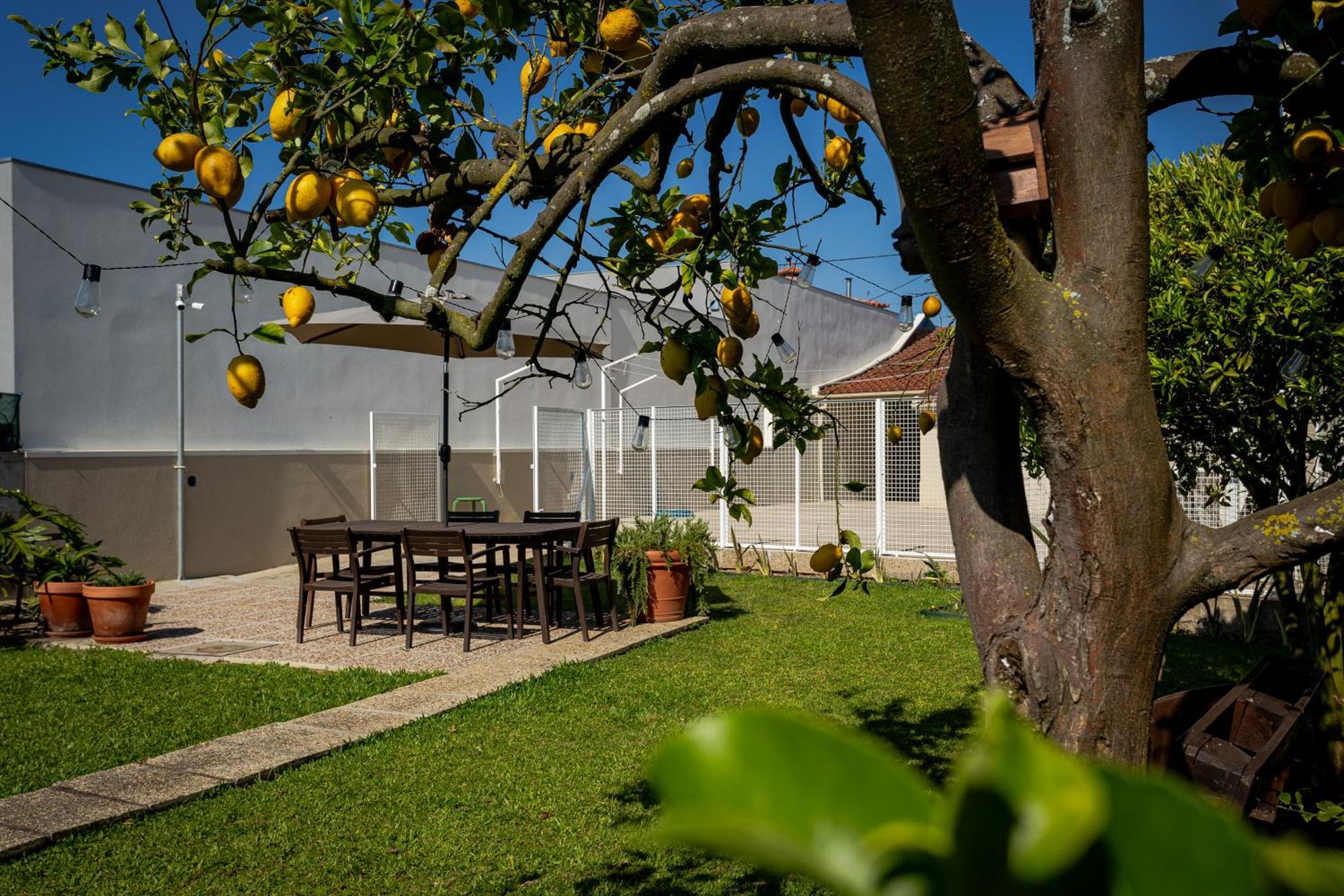 708 Mugnano House Aveleda Villa Вила ду Конде Екстериор снимка